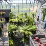 © La Serre - Vulcania