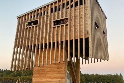 Obs'Cerf'Vatoire de Savennes