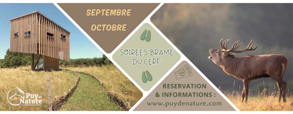 © Obs'Cerf'Vatoire de Savennes_Savennes - Puy de Nature