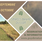 © Obs'Cerf'Vatoire de Savennes_Savennes - Puy de Nature