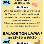 © Cet hiver à La ferme de Marinette_Chapdes-Beaufort - La Ferme de Marinette