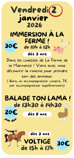 © Cet hiver à La ferme de Marinette_Chapdes-Beaufort - La Ferme de Marinette