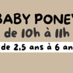 © Séance baby poney à La Ferme de la Marinette_Chapdes-Beaufort - La Ferme de la Marinette