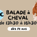 © Balade à cheval demi-journée_Chapdes-Beaufort - La Ferme de la Marinette