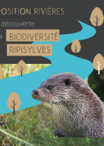 [EXPOSITION] À la découverte de la biodiversité des ripisylves