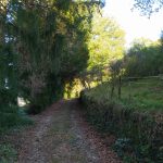 © Gîte Le moulin de Rochocol, chemin d'accès carrossable - Laurie Dechenaux