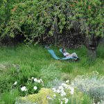 © Jardin - Braun D.