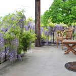 © terrasse - Braun D.