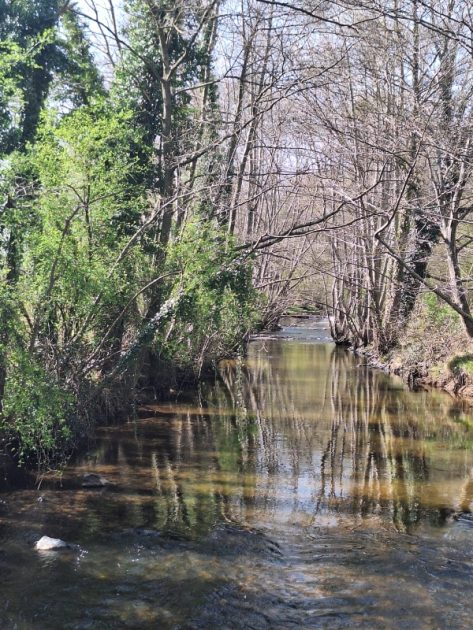 © Au fil de la Morge - L Coly