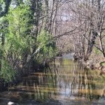 © Au fil de la Morge - L Coly