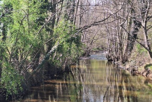 Au fil de la Morge, entre Nature et Histoire