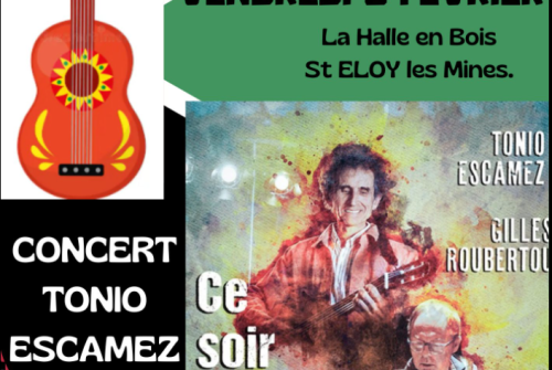 Concert de L'Amicale Laïque