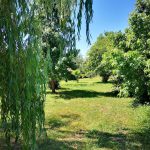 © Jardin - Bianca Trijzelaar