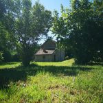 © Jardin - Bianca Trijzelaar