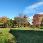 © Automne - Bianca Trijzelaar