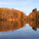 © Domaine du Balbuzard - Tiny House automne - Domaine du Balbuzard