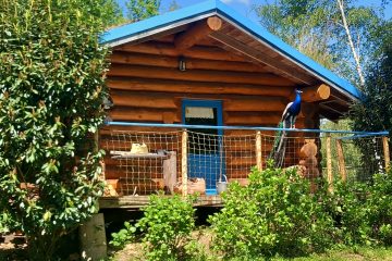 © Fuste Celtique - PORTIER Michel