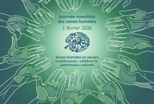 Journée mondiale des zones humides