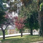 © La Botiola Dolheta Charbonnières-les-Vieilles - Pouzol