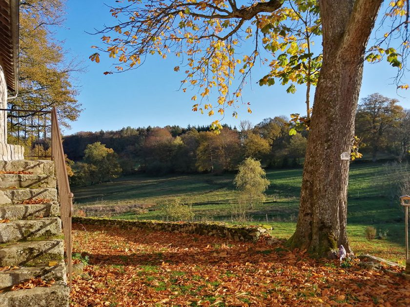 © Le Logis de l'Abeille noire - Denis