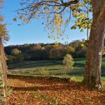 © Le Logis de l'Abeille noire - Denis