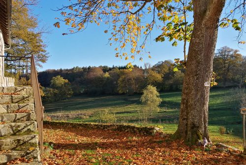 Le Logis de l'Abeille Noire