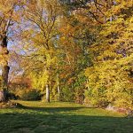 © Le Logis de l' Abeille Noire - Denis