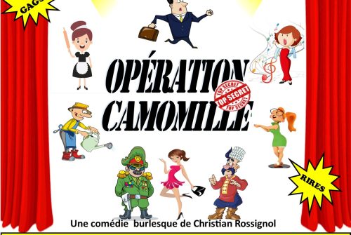 Théâtre - Opération Camomille