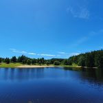 © Plan d'eau Beal des roziers - Mme Sibot