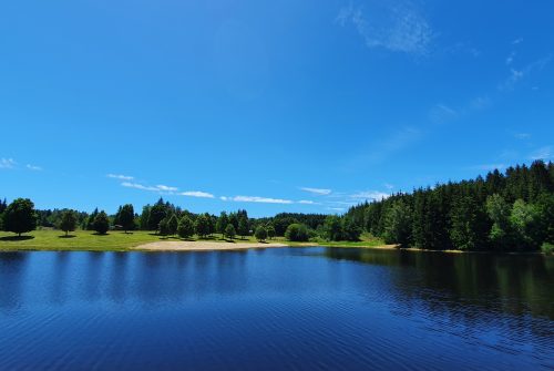 Site de pêche - Plan d'Eau Béal des Roziers