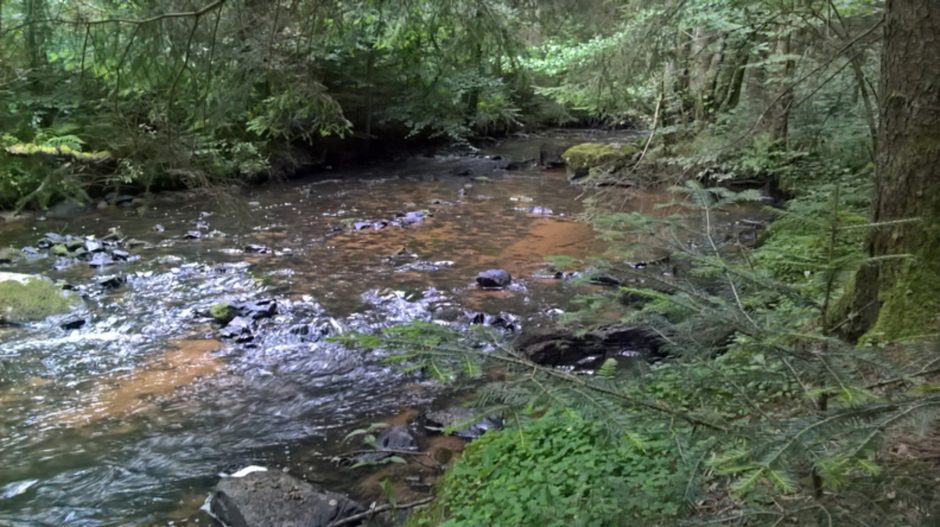 © Site de pêche - Rivière le Sioulet (haut Sioulet)_Combrailles - Noemie Ricard - OT des Combrailles
