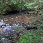 © Site de pêche - Rivière le Sioulet (haut Sioulet)_Combrailles - Noemie Ricard - OT des Combrailles