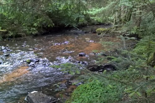 Site de pêche - Rivière le Sioulet (haut Sioulet)