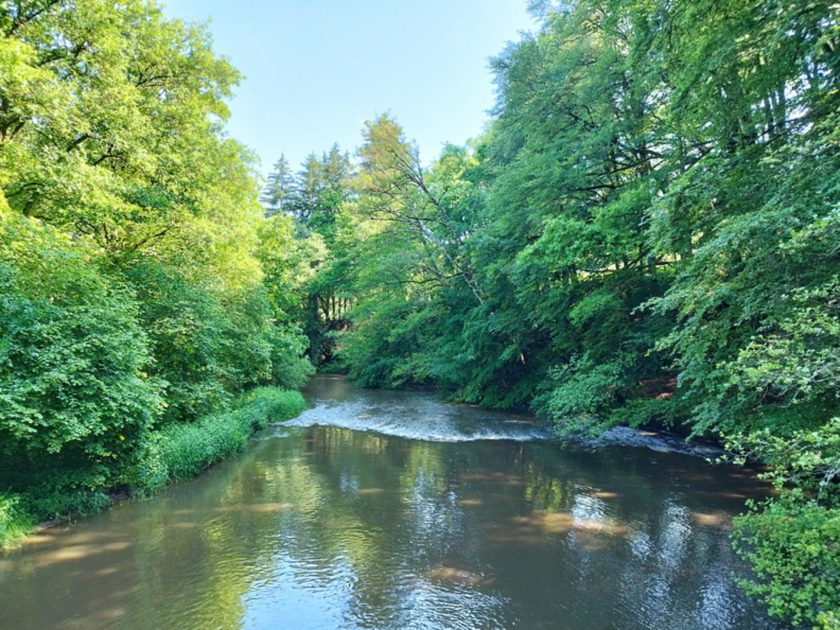 © Site de pêche - Rivière Le Sioulet_Pontaumur - OTC