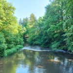 © Site de pêche - Rivière Le Sioulet_Pontaumur - OTC