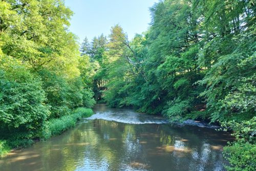 Site de pêche - Rivière Le Sioulet