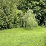 © Grande Jardin Villa Guillaumette - Villa Guillaumette