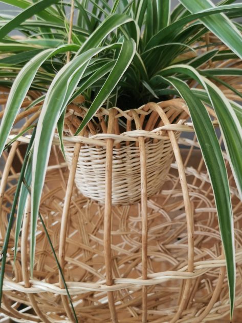 © Athénaïs Vercelloti_Saint-Myon - Athénaïs Vercelloti