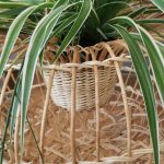 © Athénaïs Vercelloti_Saint-Myon - Athénaïs Vercelloti