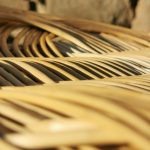 © Athénaïs Vercelloti_Saint-Myon - Athénaïs Vercelloti