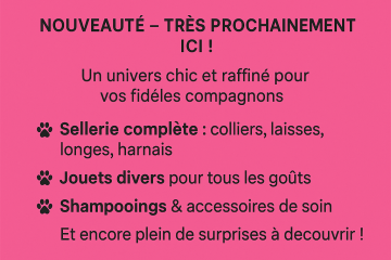 © Happy Life 63 - Mathilde Chacun