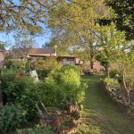 © Allée vers la boutique - Rabot