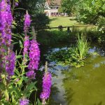 © Parc et Bassin - Espaignet Nathalie