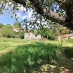 © Le verger - La Consolante