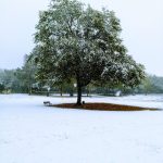 © Aire de jeux - Plan d'eau de la Bregirolle - Christian AUZEL