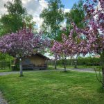 © LODGE LE PARIOU - sas camping