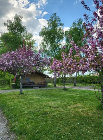 © LODGE LE PARIOU - sas camping