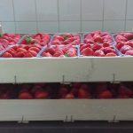 © Les confitures de Marie - Les confitures de Marie