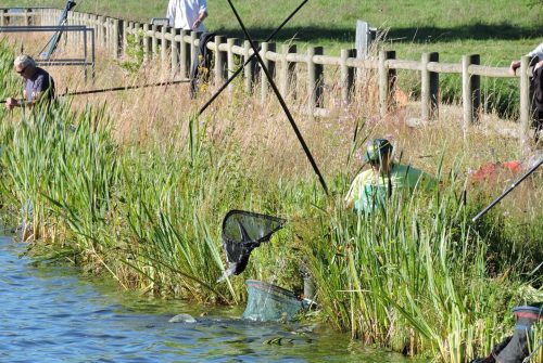 Site de pêche - Étang Philippe