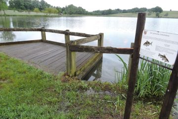 © Pêche Etang Philippe - Mairie St Gervais